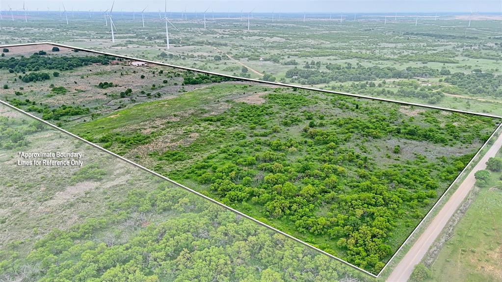 0 Watson Road Windthorst, TX 76389 - Photo 25 of 27 a view of a yard with a lush green forest