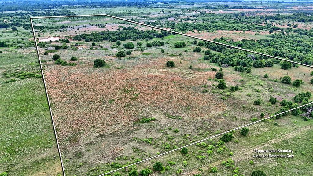 0 Watson Road Windthorst, TX 76389 - Photo 26 of 27 a view of a forest with a forest