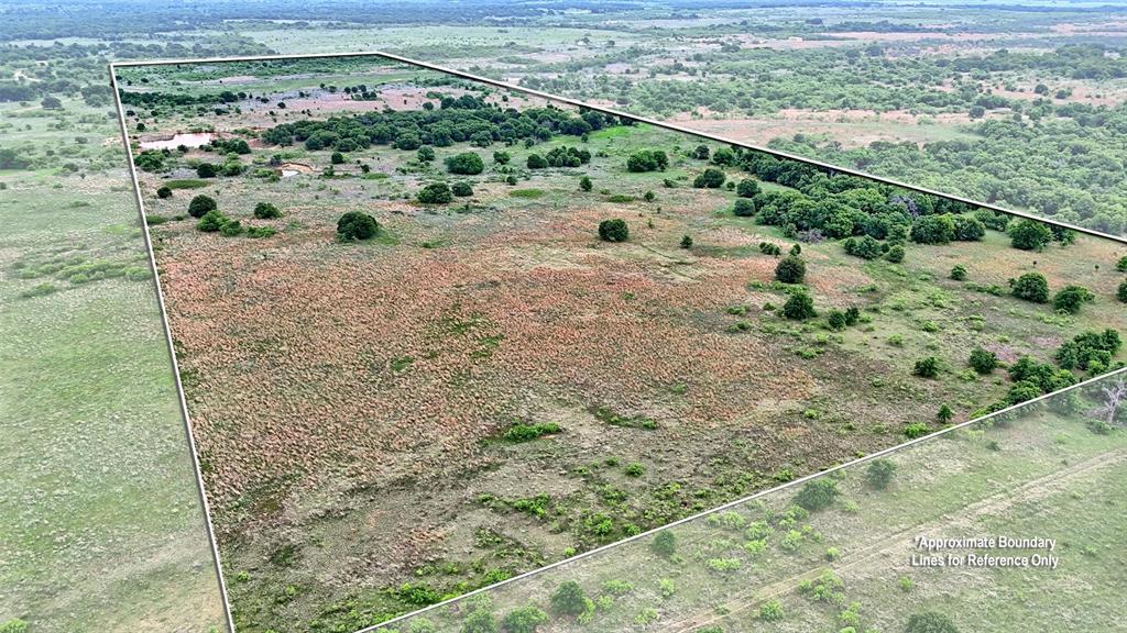 0 Watson Road Windthorst, TX 76389 - Photo 27 of 27 a view of a forest with a forest