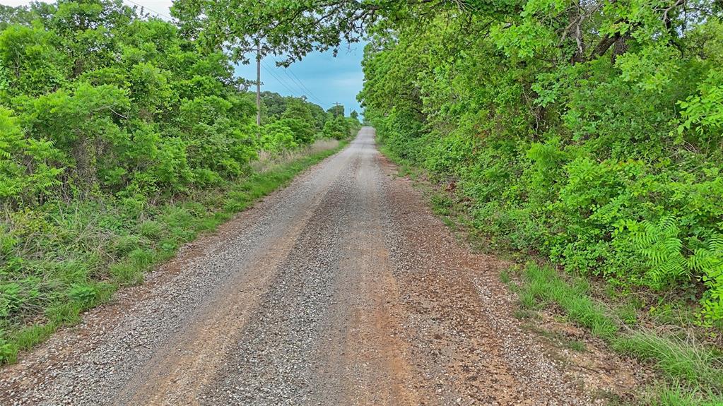 0 Watson Road Windthorst, TX 76389 - Photo 10 of 27 a view of a pathway both side of yard