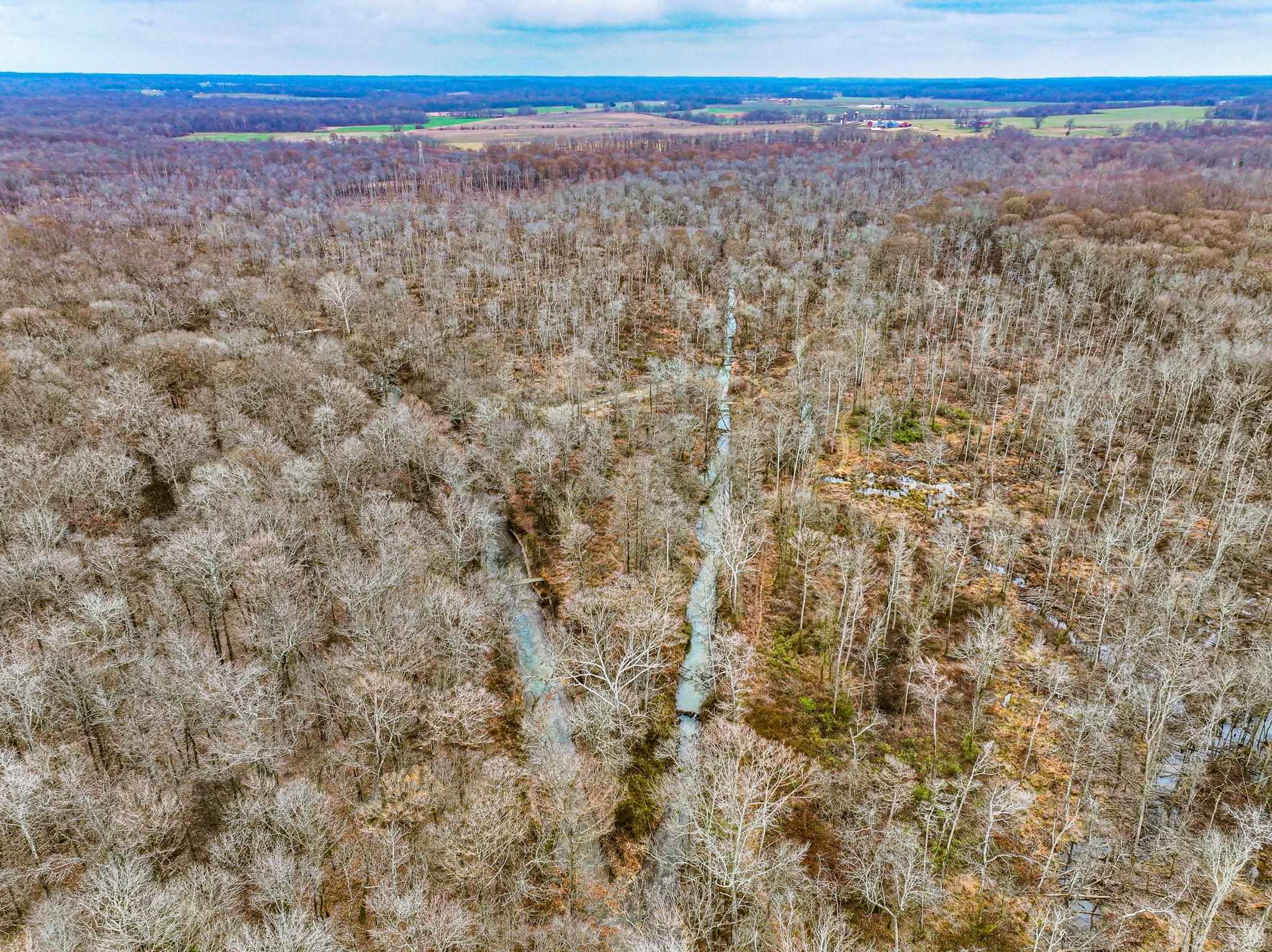 0 Puryear Road Cottage Grove, TN 38224 - Photo 31 of 40 Aerial overview of property's location featuring a forest