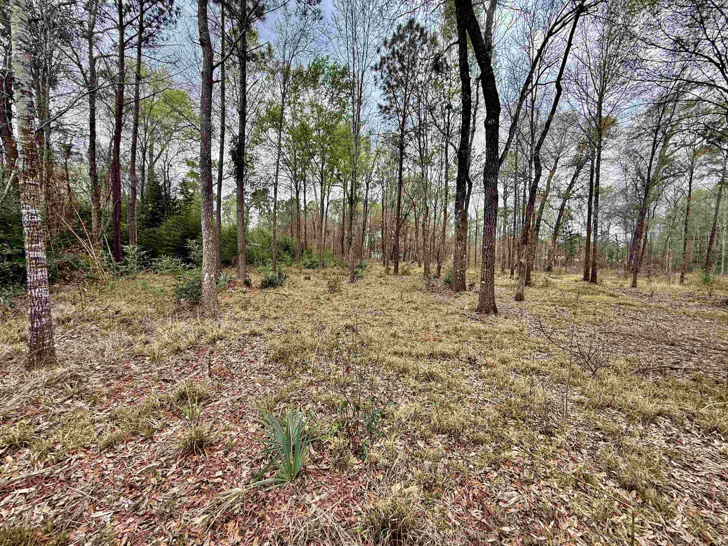 325 Jennings Road Vidor, TX 77662 - Photo 4 of 9