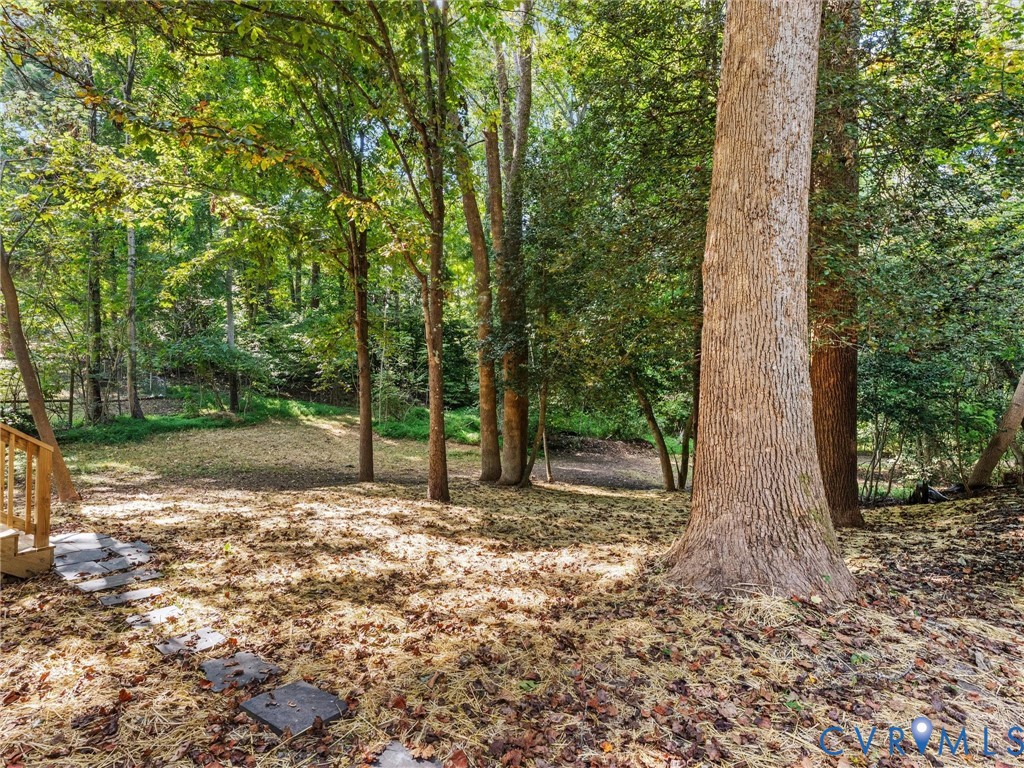 6518 Jessup Road Chesterfield, VA 23832 - Photo 69 of 77 Gallery Image 69