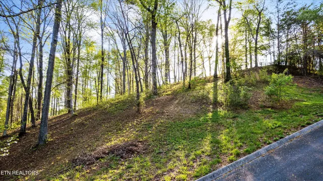 $49,000 | Lot 39 Apple Tree Drive, Clinton, TN 37716