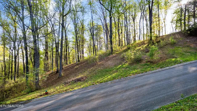 $49,000 | Lot 39 Apple Tree Drive, Clinton, TN 37716