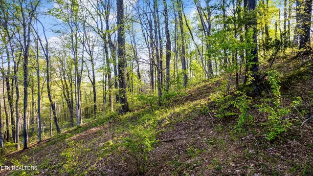 $49,000 | Lot 39 Apple Tree Drive, Clinton, TN 37716