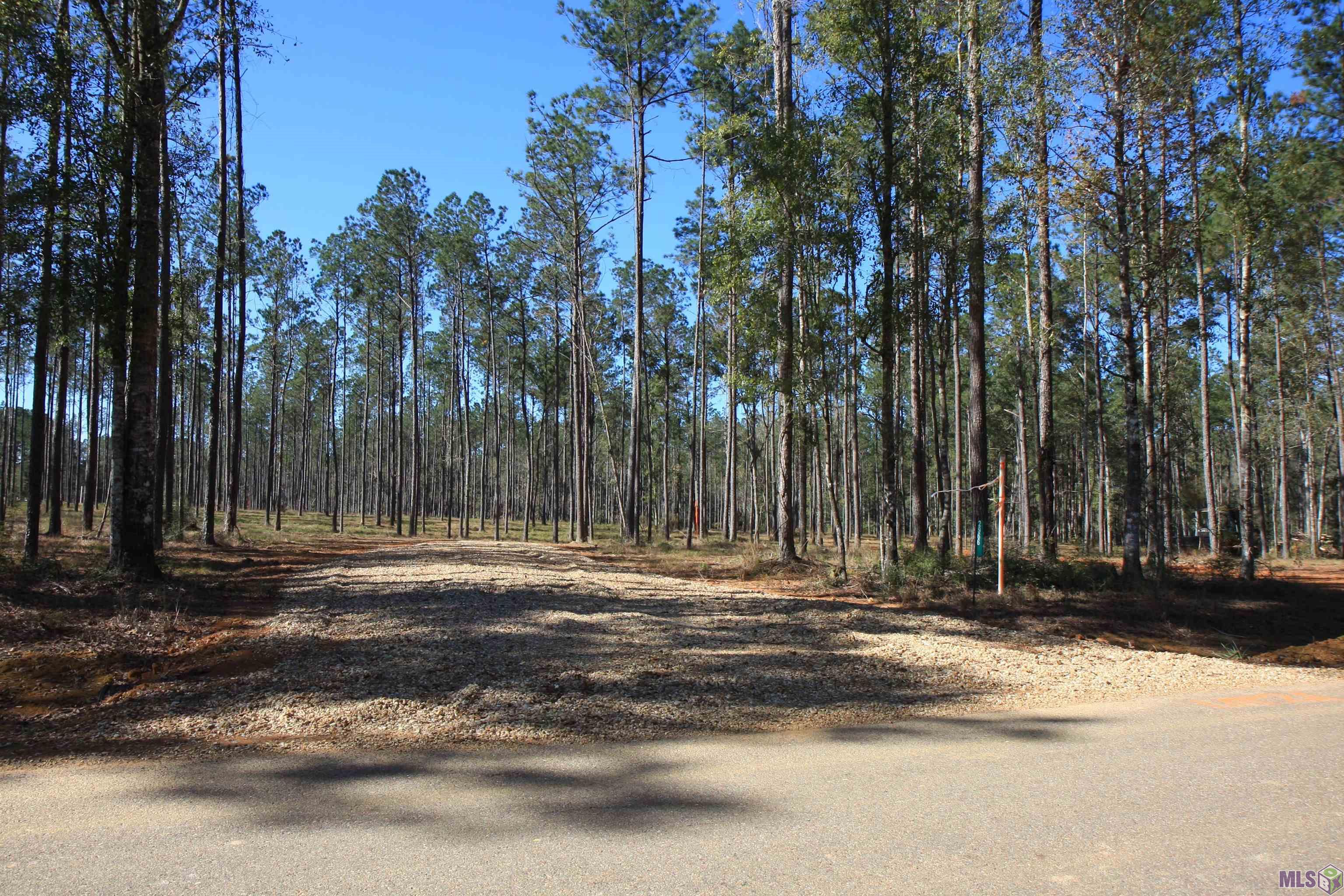 2966 Nesom Road Clinton, LA 70722 - Photo 2 of 8 Gallery Image 2