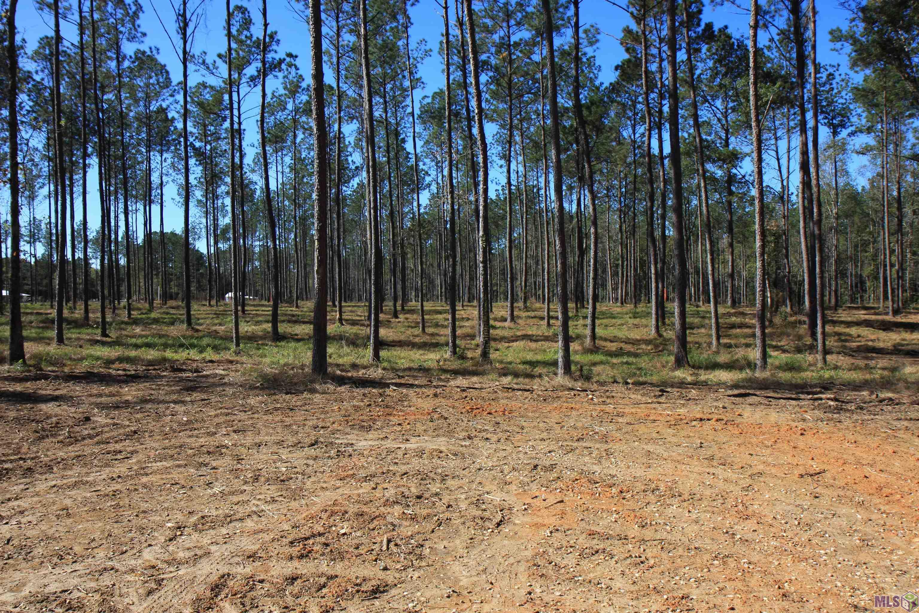2966 Nesom Road Clinton, LA 70722 - Photo 3 of 8 Gallery Image 3