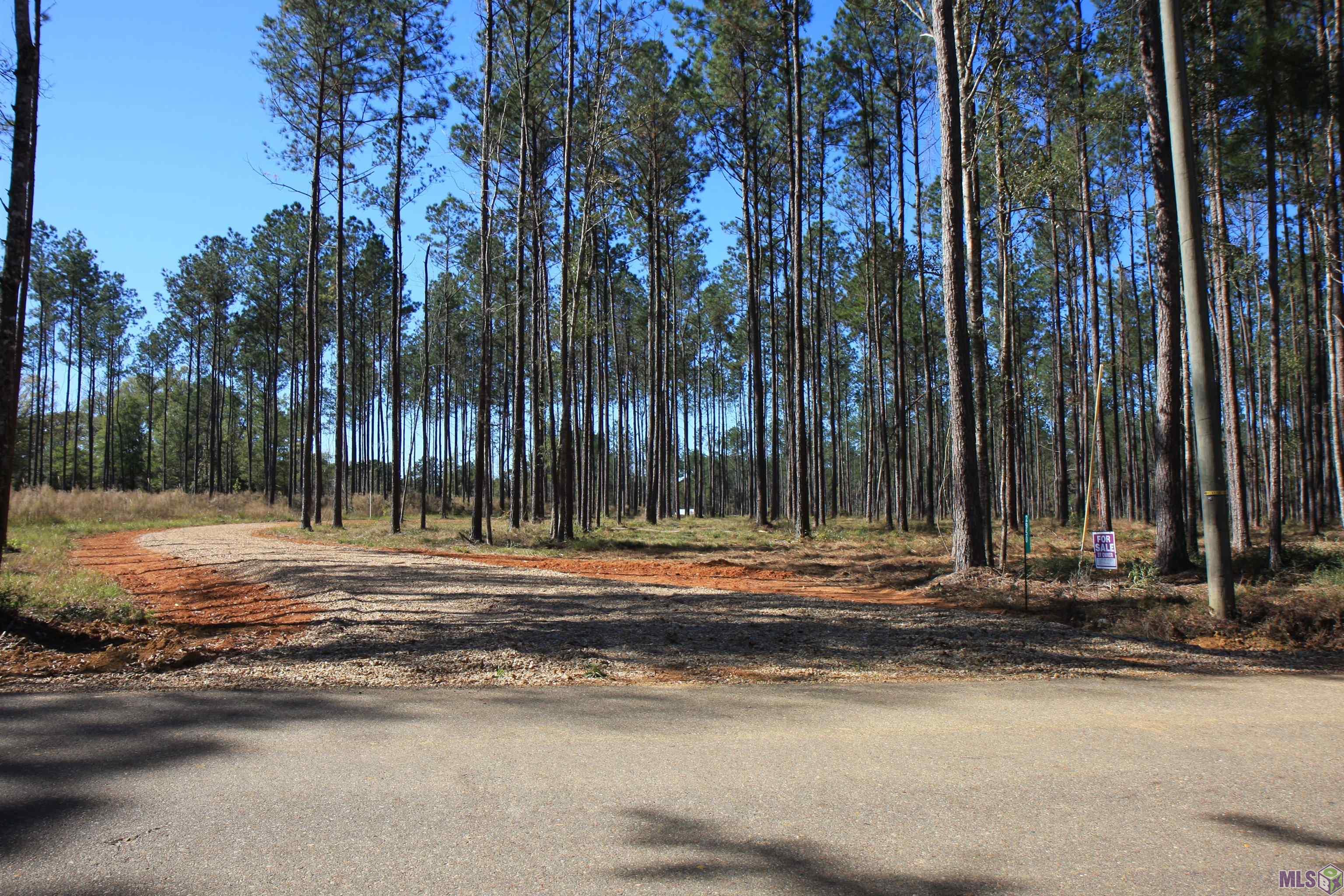 2966 Nesom Road Clinton, LA 70722 - Photo 4 of 8 Gallery Image 4