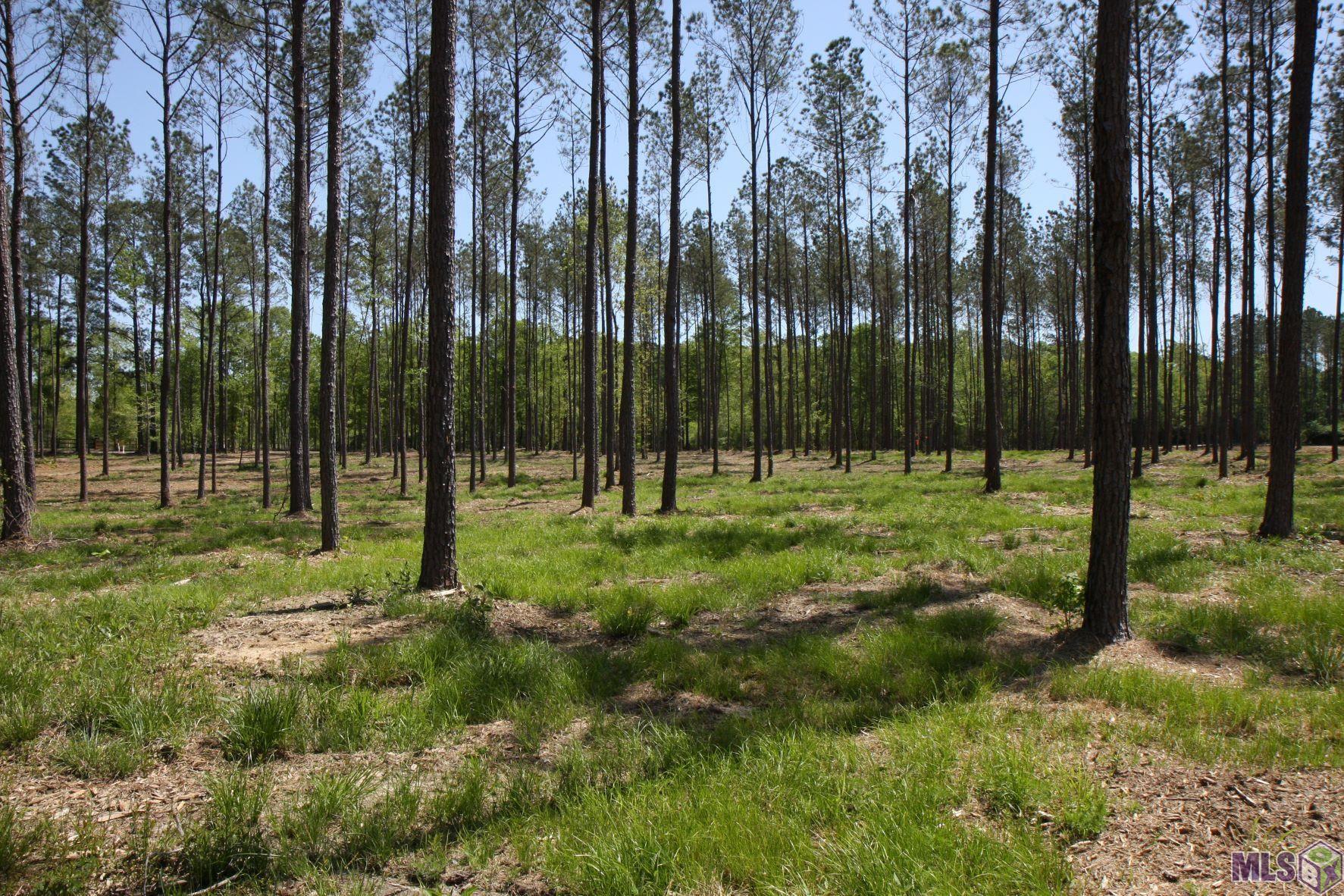 2966 Nesom Road Clinton, LA 70722 - Photo 7 of 8 Gallery Image 7