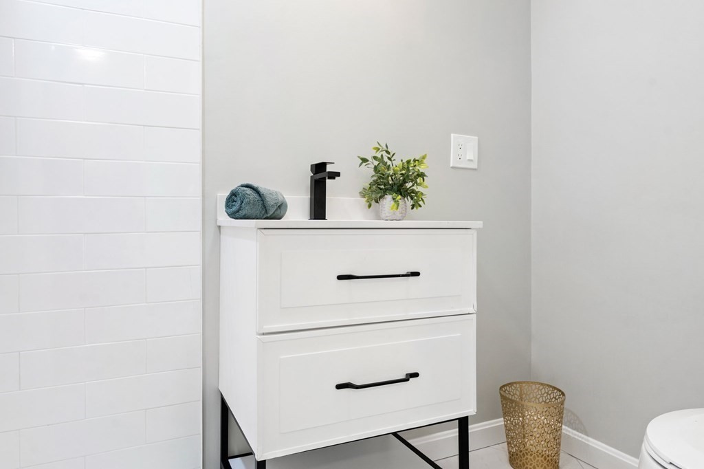 16 Chamberlain Road Shrewsbury, MA 01545 - Photo 26 of 38 a close view of a closet and a potted plant