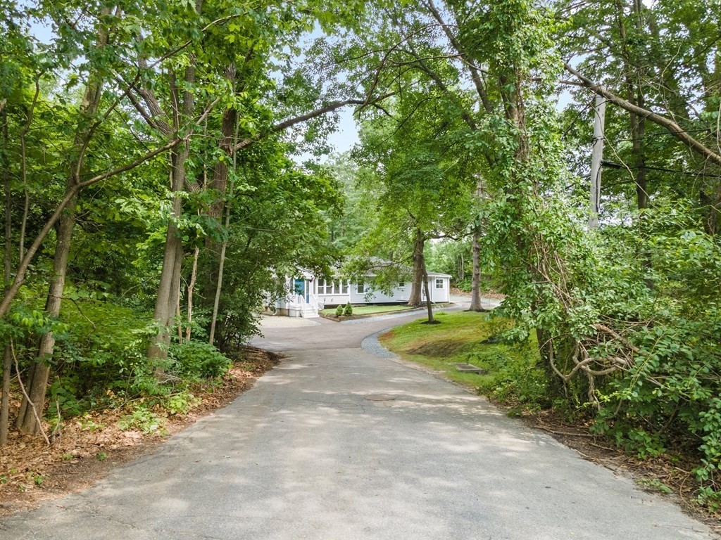 16 Chamberlain Road Shrewsbury, MA 01545 - Photo 3 of 38 a view of a park with large trees