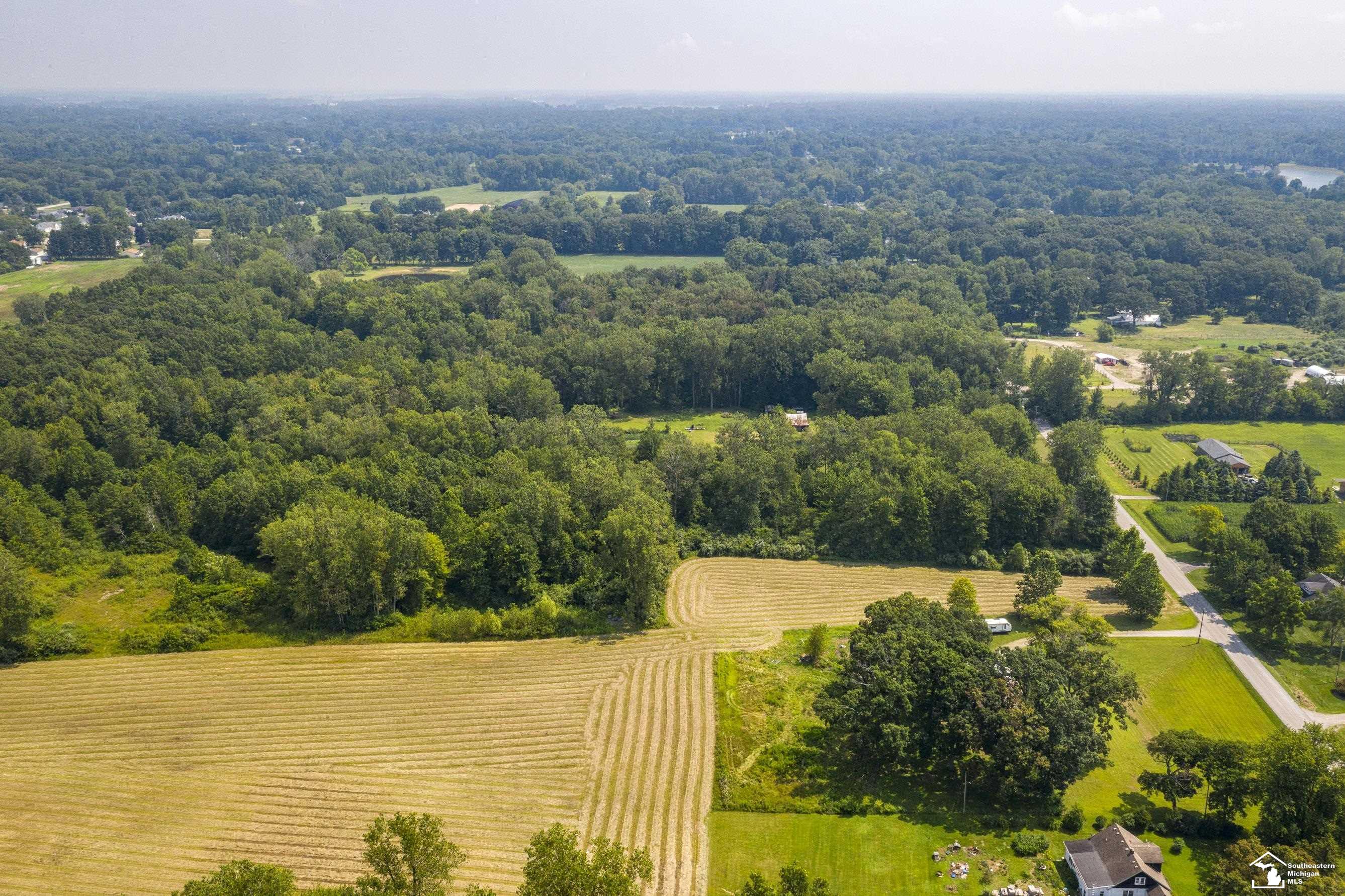 4544 West Erie Road Temperance, MI 48182 - Photo 6 of 11
