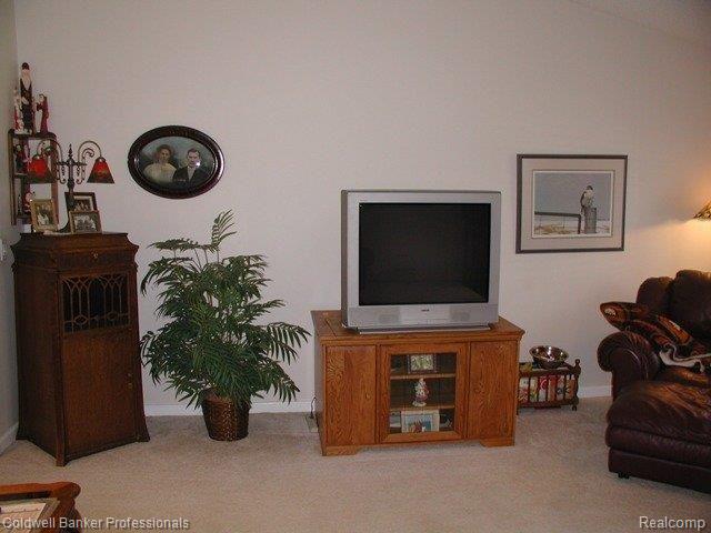 3049 Tozer Road North Branch, MI 48461 - Photo 14 of 25 3049 Tozer living room 4