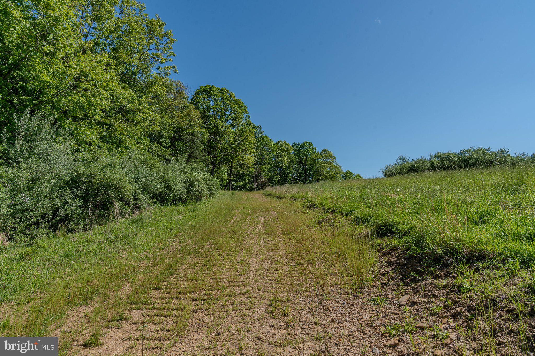 4503 Scotch Valley Road Hollidaysburg, PA 16648 - Photo 45 of 85