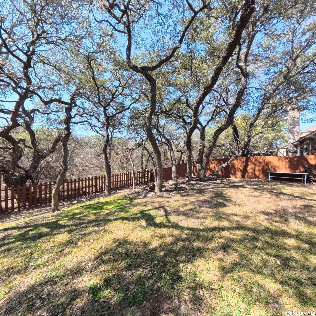 20115 Standish Road San Antonio, TX 78258 - Photo 45 of 51 a view of a yard with a tree