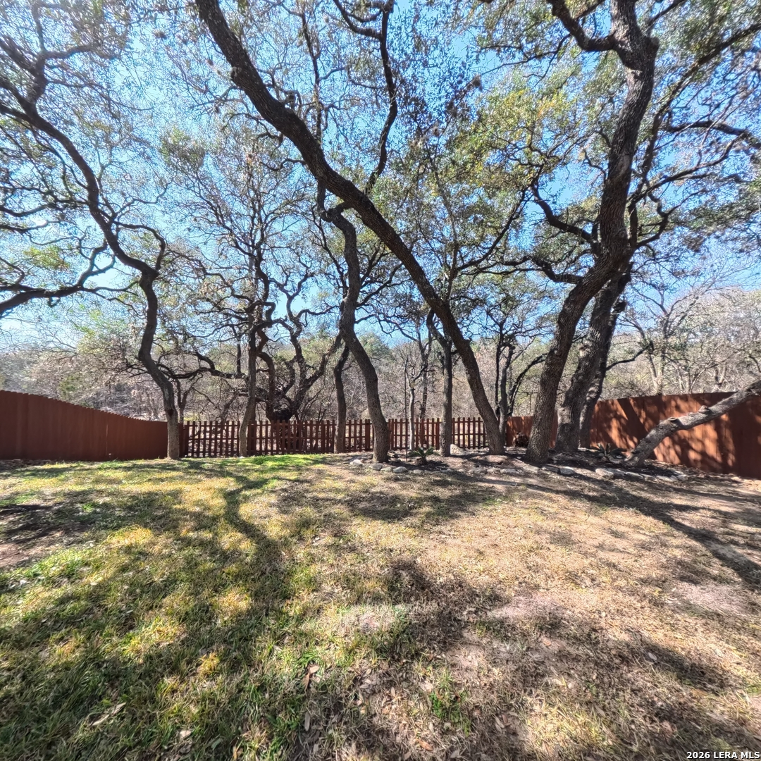 20115 Standish Road San Antonio, TX 78258 - Photo 46 of 51 a view of a yard with a tree