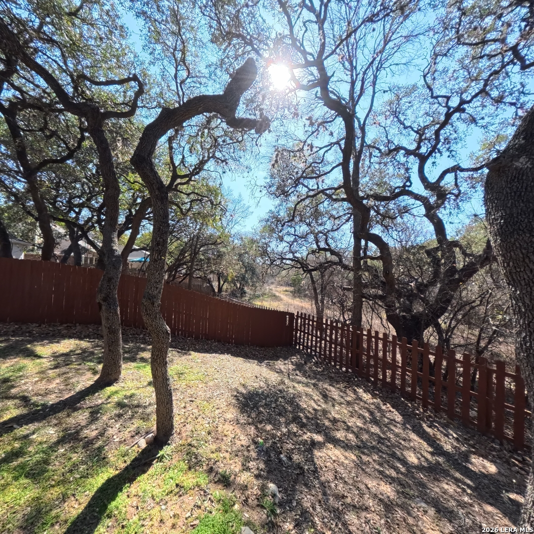 20115 Standish Road San Antonio, TX 78258 - Photo 48 of 51 a view of a yard with large tree