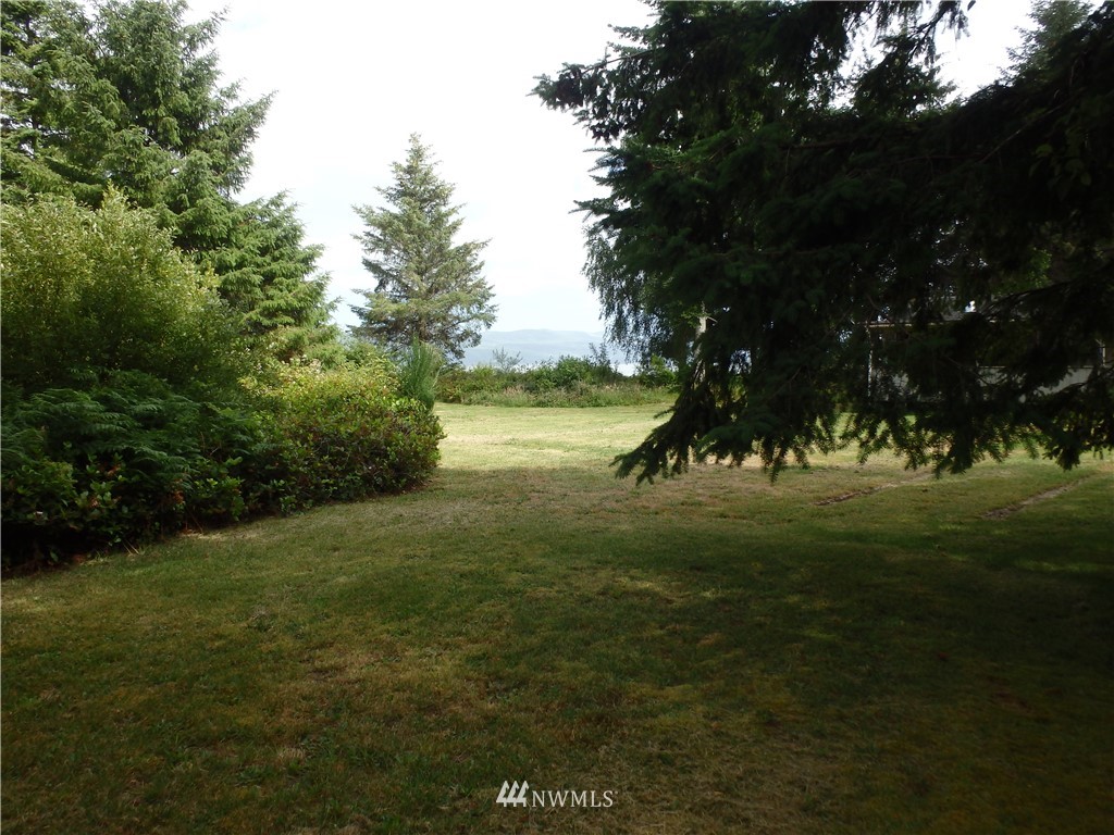 18116 Sandridge Road Long Beach, WA 98631 - Photo 8 of 10 Gallery Image 8