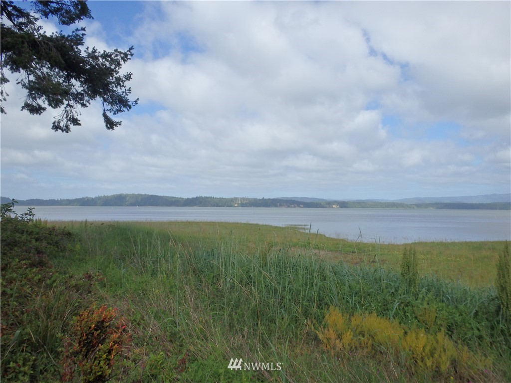 18116 Sandridge Road Long Beach, WA 98631 - Photo 9 of 10 Gallery Image 9