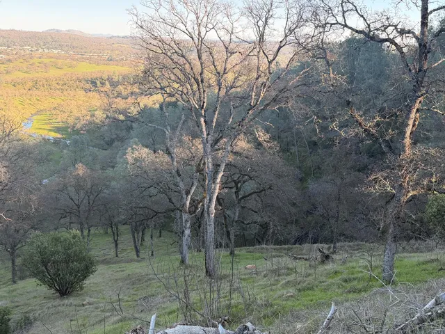 $165,000 | 0 2291 Basket Lane, Copperopolis, CA 95228