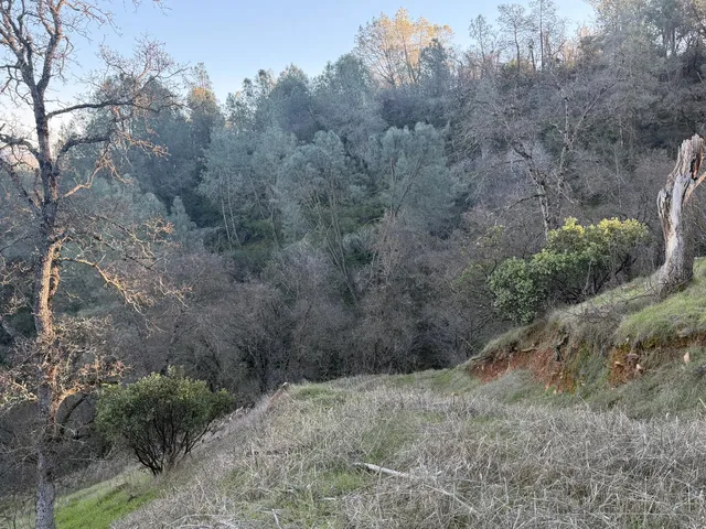 $165,000 | 0 2291 Basket Lane, Copperopolis, CA 95228