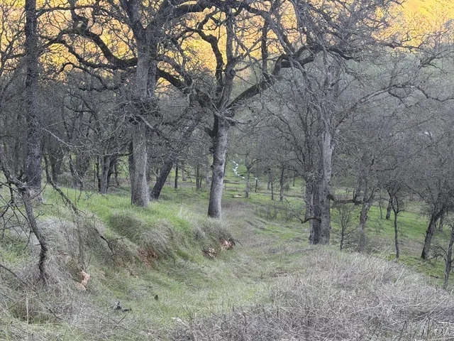 $165,000 | 0 2291 Basket Lane, Copperopolis, CA 95228