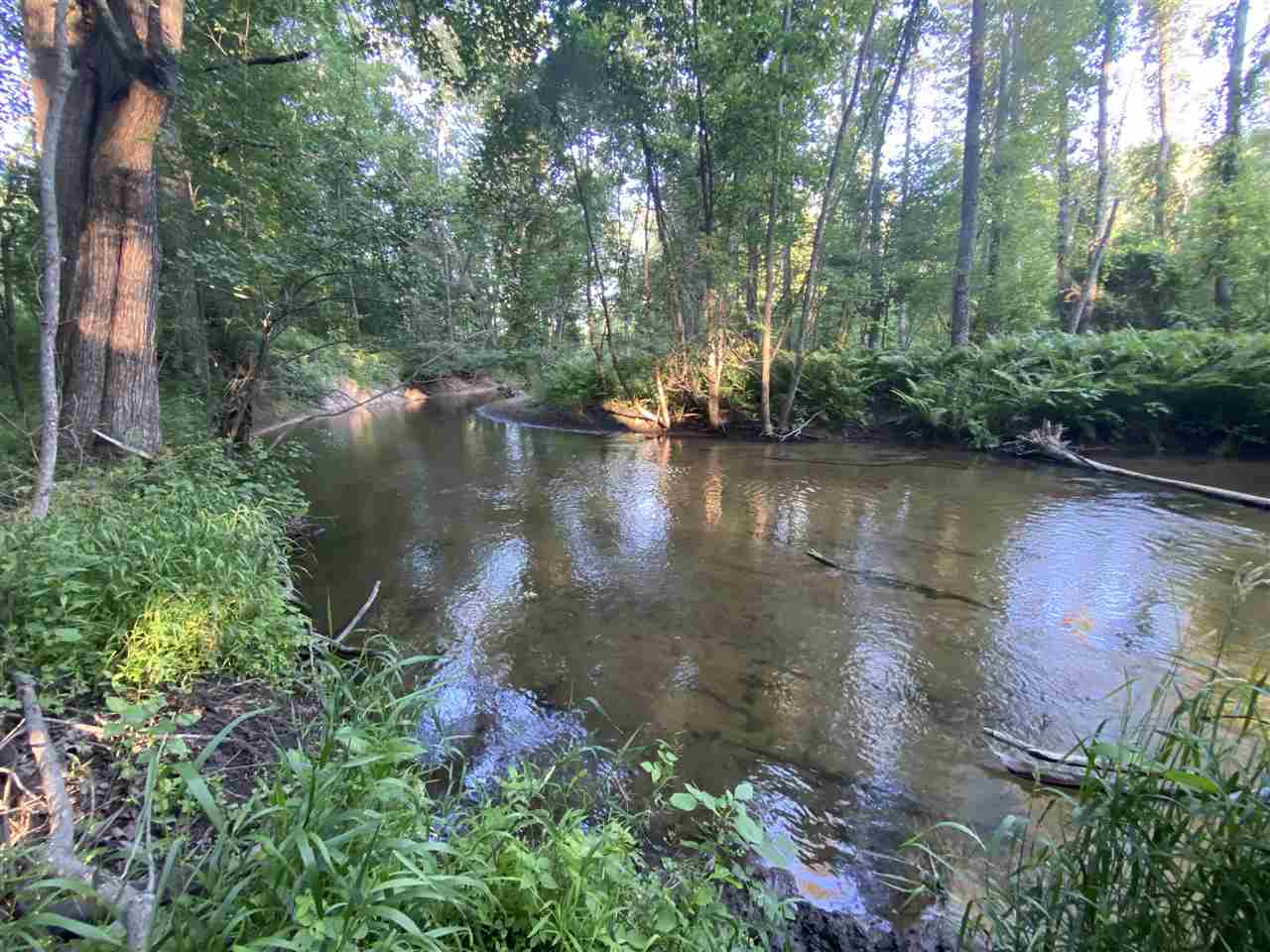 5950-1 Calhoun Road Beaverton, MI 48612 - Photo 78 of 93