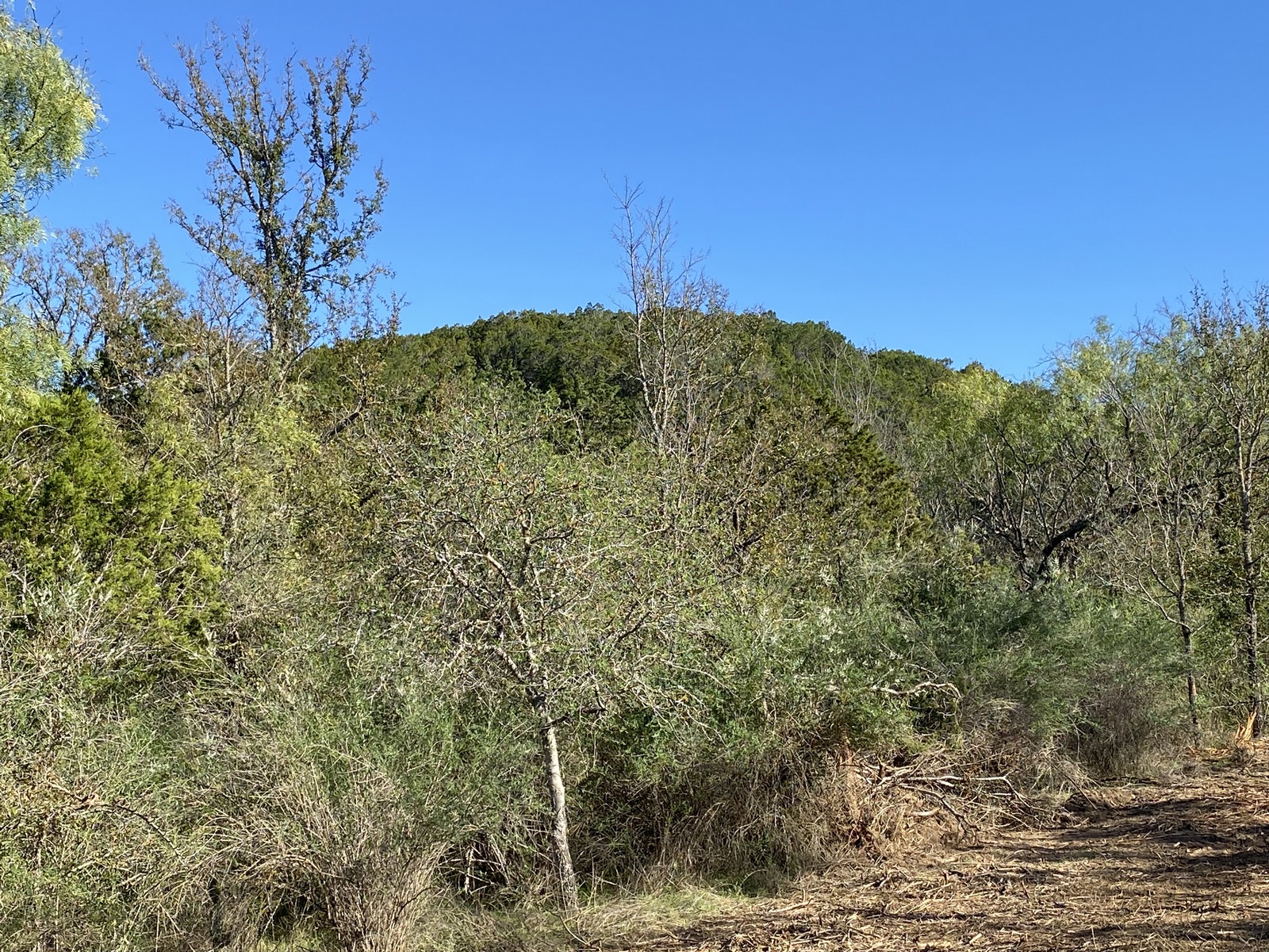 0 Ranch Road 2241 Tow, TX 78672 - Photo 28 of 33 A rustic trail winding through natural foliage and trees, leading to distant hills.