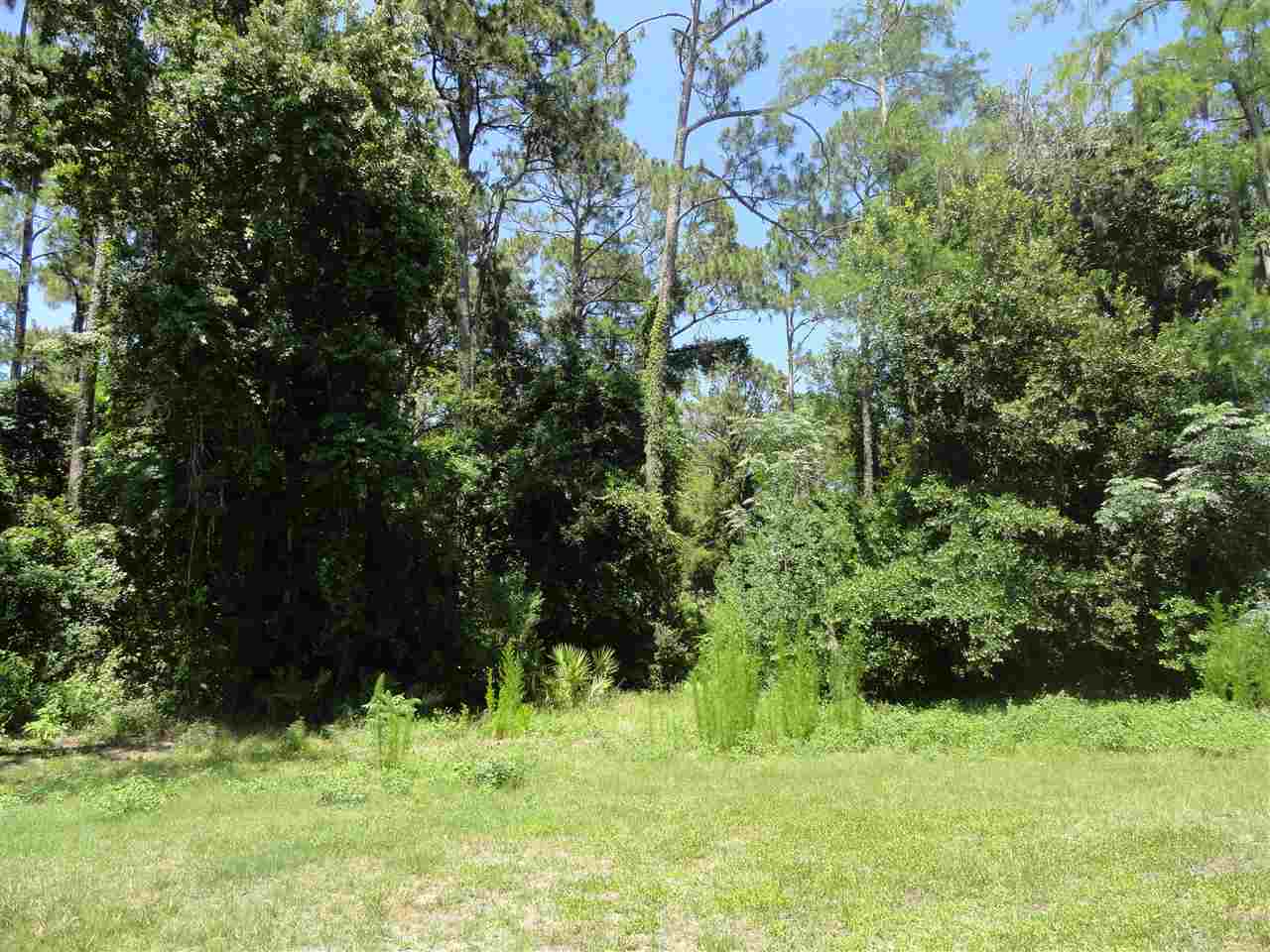 1340 Kings Estate Road St. Augustine, FL 32086 - Photo 36 of 40 a backyard of a house with lots of green space