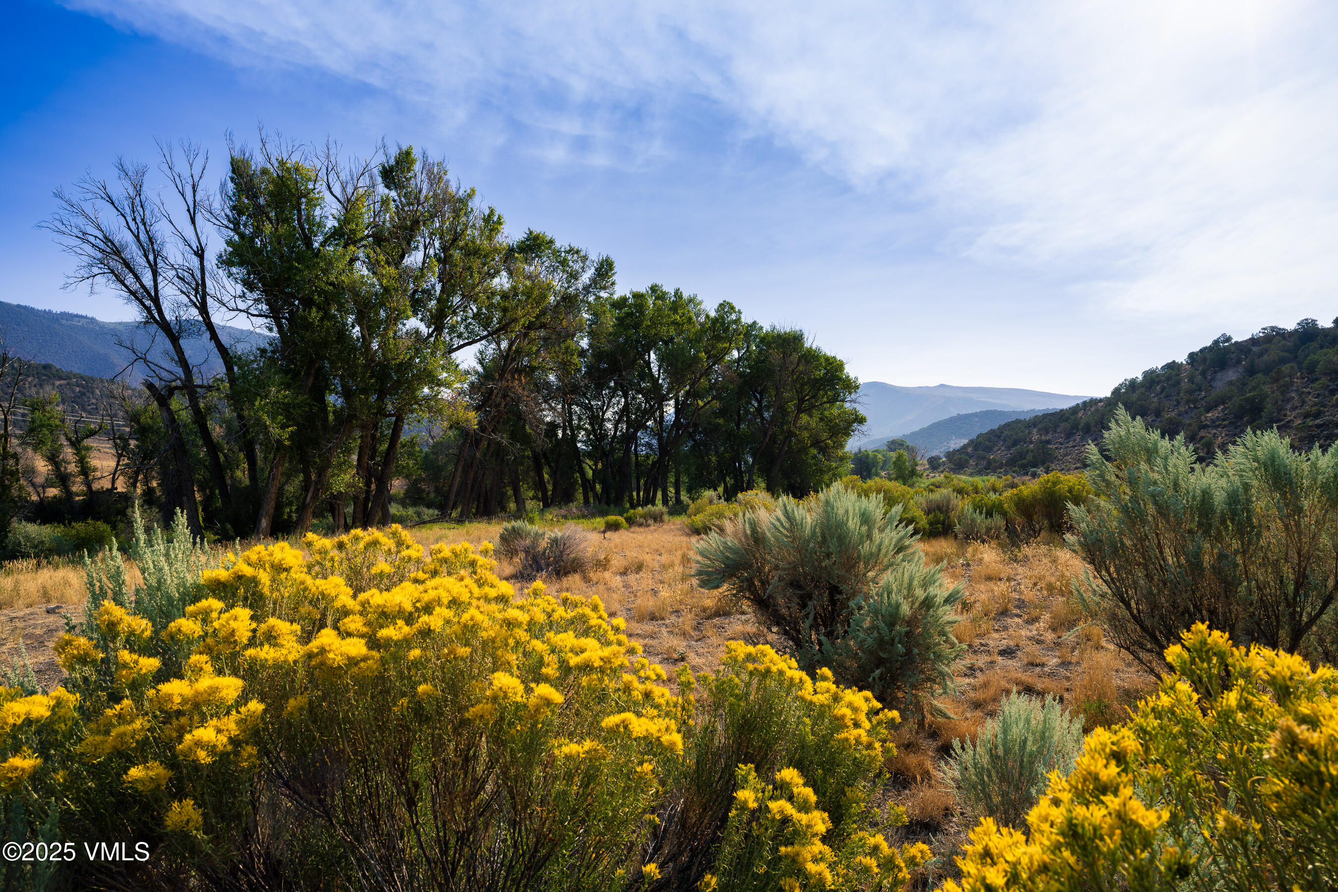 1633 West Diamond Star Road Eagle, CO 81631 - Photo 13 of 32 a view of a yard