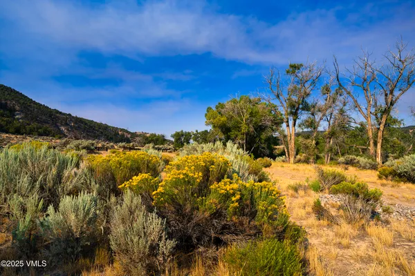 a view of a lake with a tree in the background
