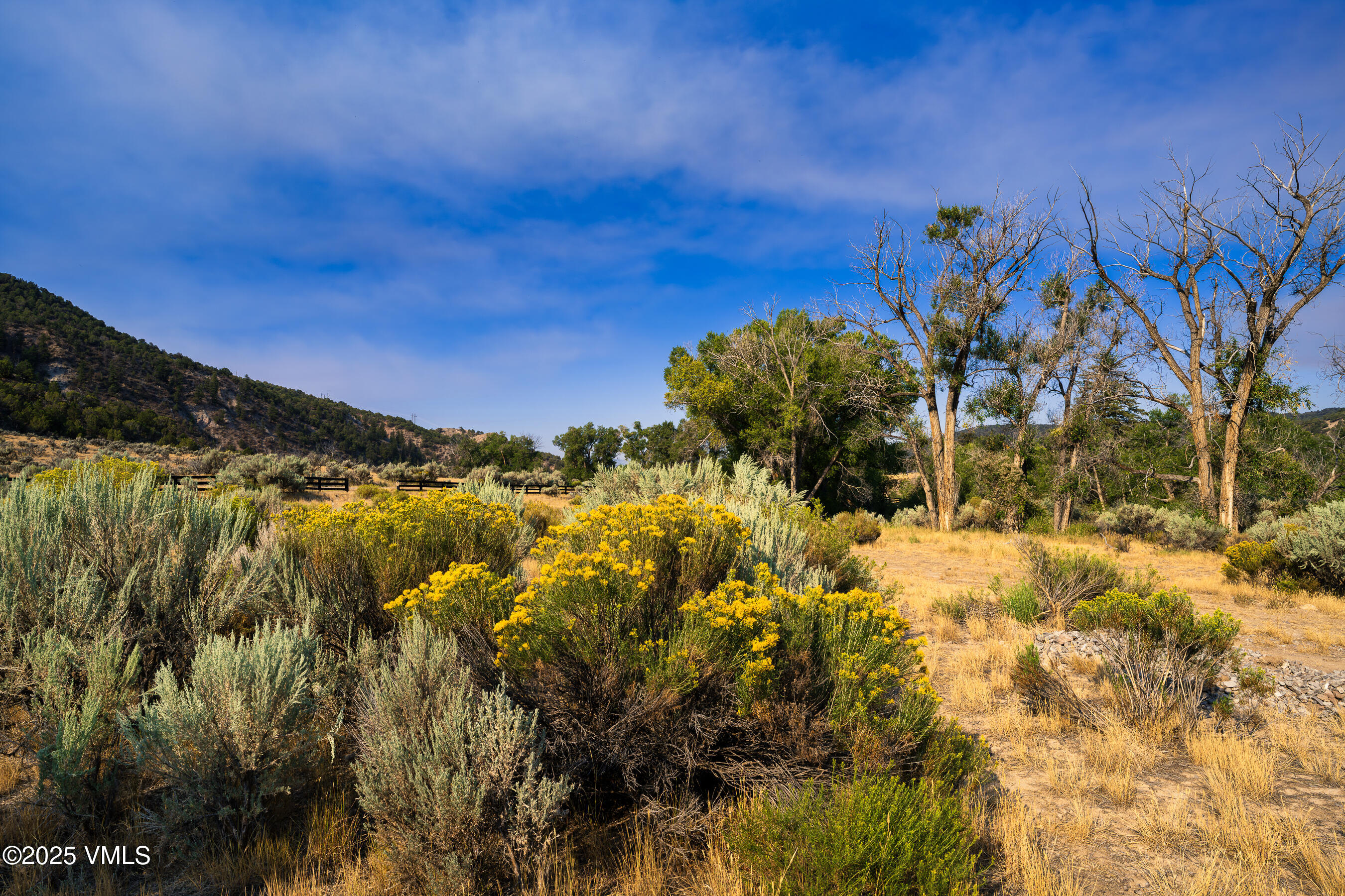 1633 West Diamond Star Road Eagle, CO 81631 - Photo 20 of 32 a view of a lake with a tree in the background