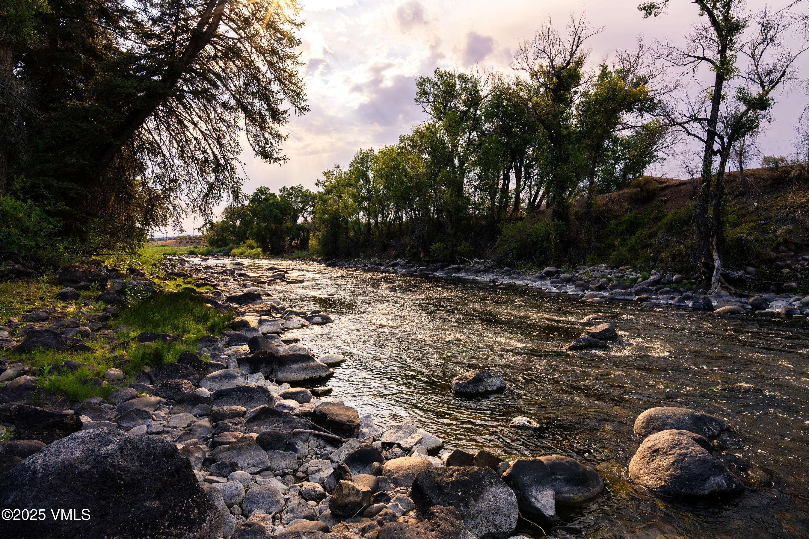 1633 West Diamond Star Road Eagle, CO 81631 - Photo 28 of 32 a view of a street with a tree