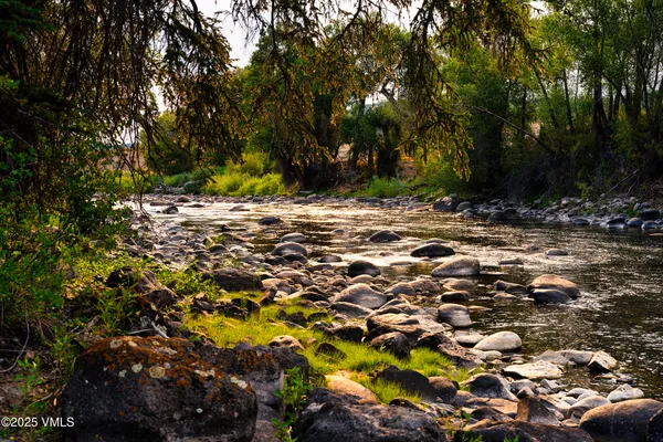 a view of a tree with a yard