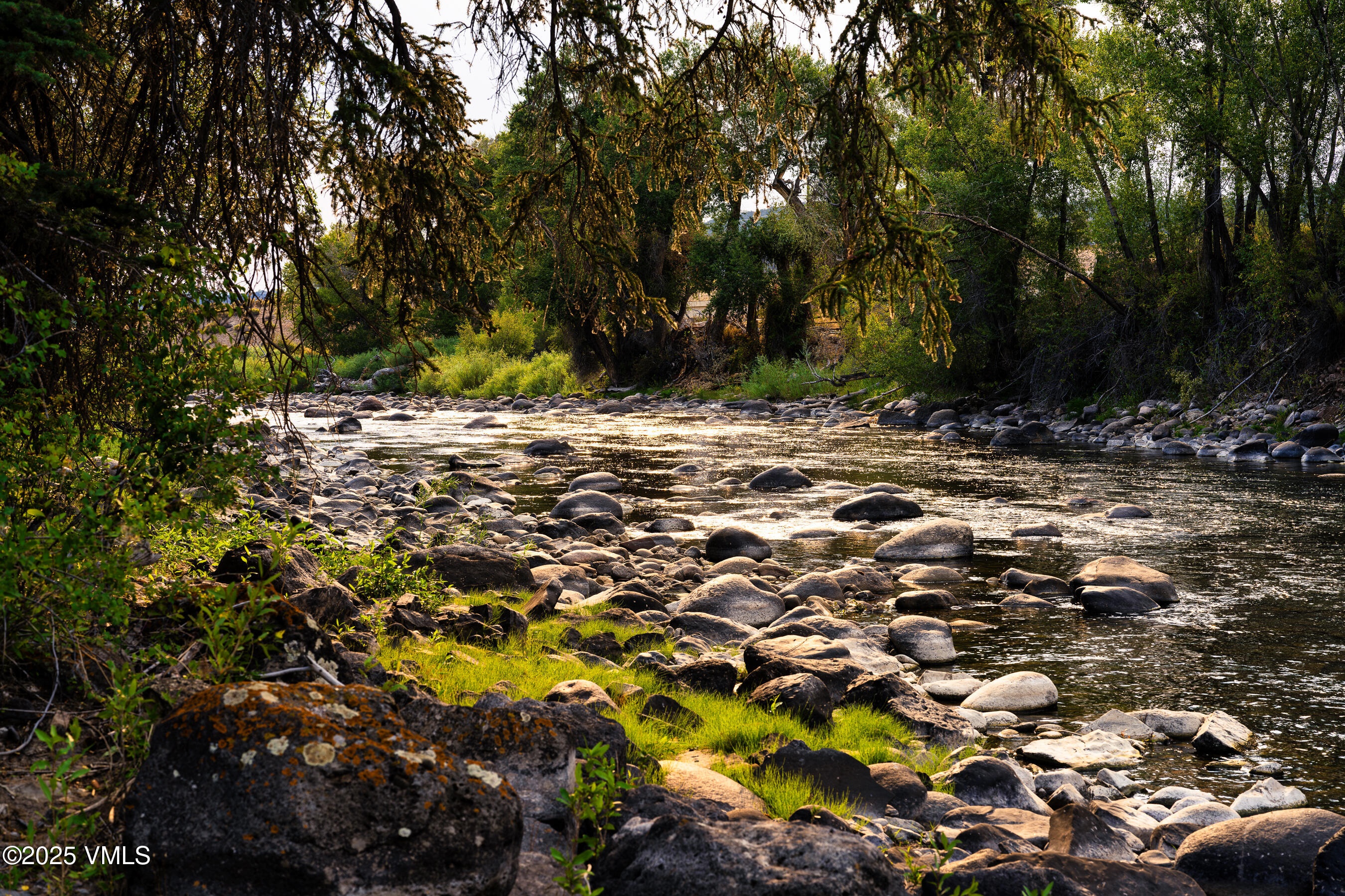 1633 West Diamond Star Road Eagle, CO 81631 - Photo 30 of 32 a view of a tree with a yard