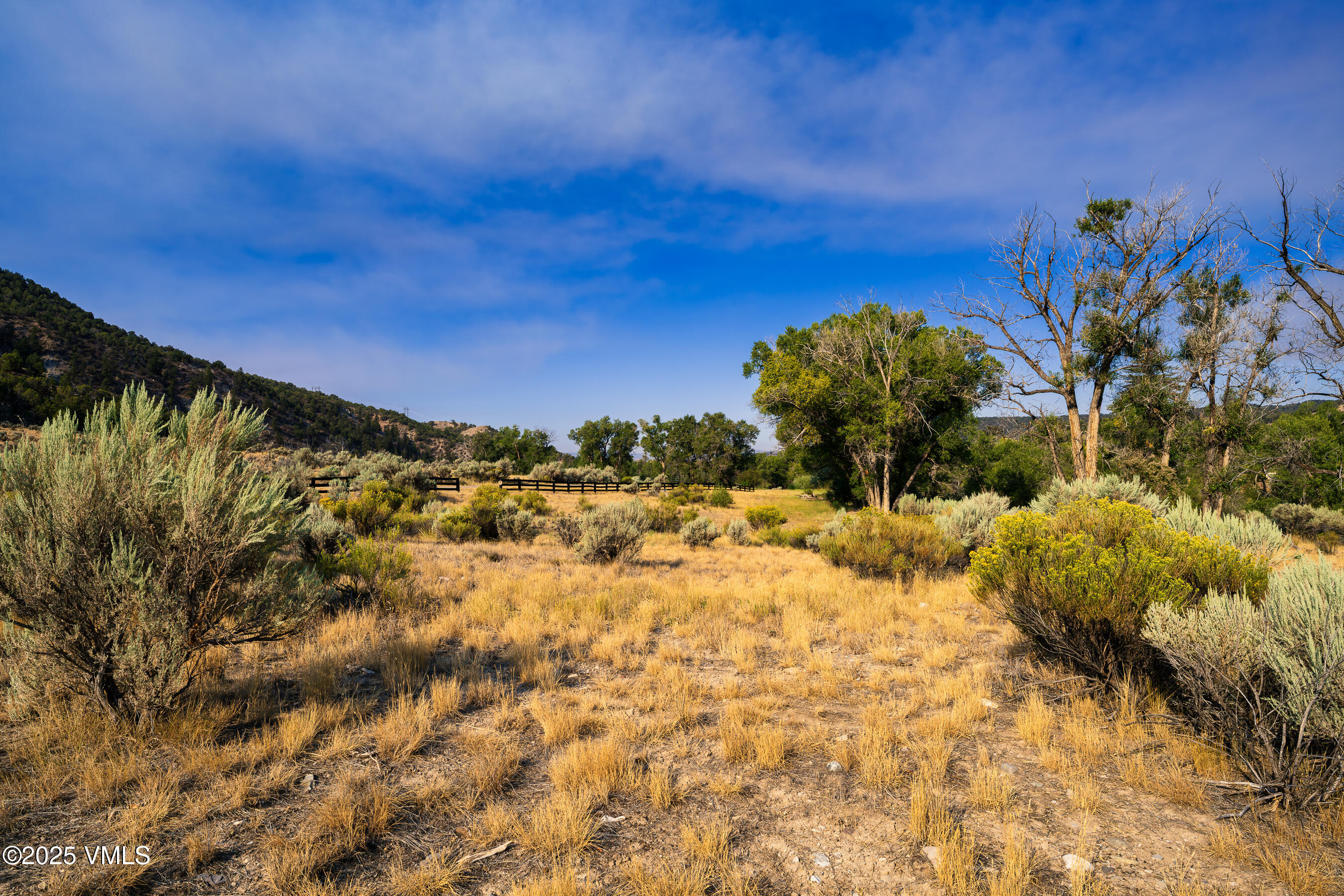1633 West Diamond Star Road Eagle, CO 81631 - Photo 4 of 31 DSR9