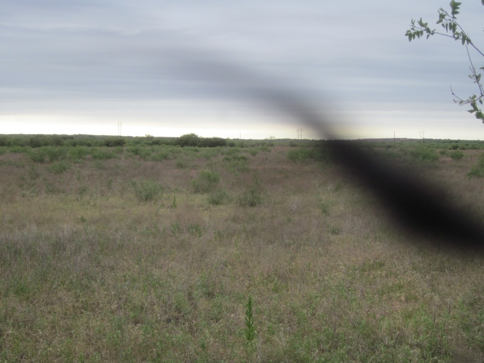 Nka Buckle L Road Childress, TX 79201 - Photo 2 of 6