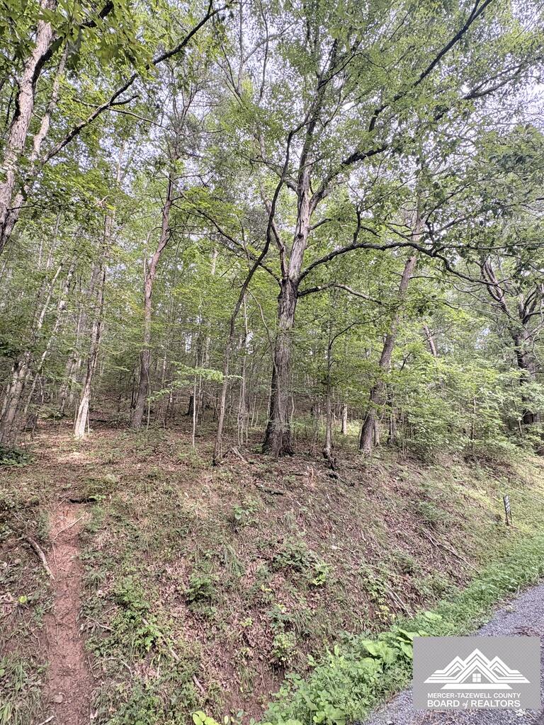 0 West Clayton Road Alderson, WV 24910 - Photo 1 of 4 Gallery Image 1