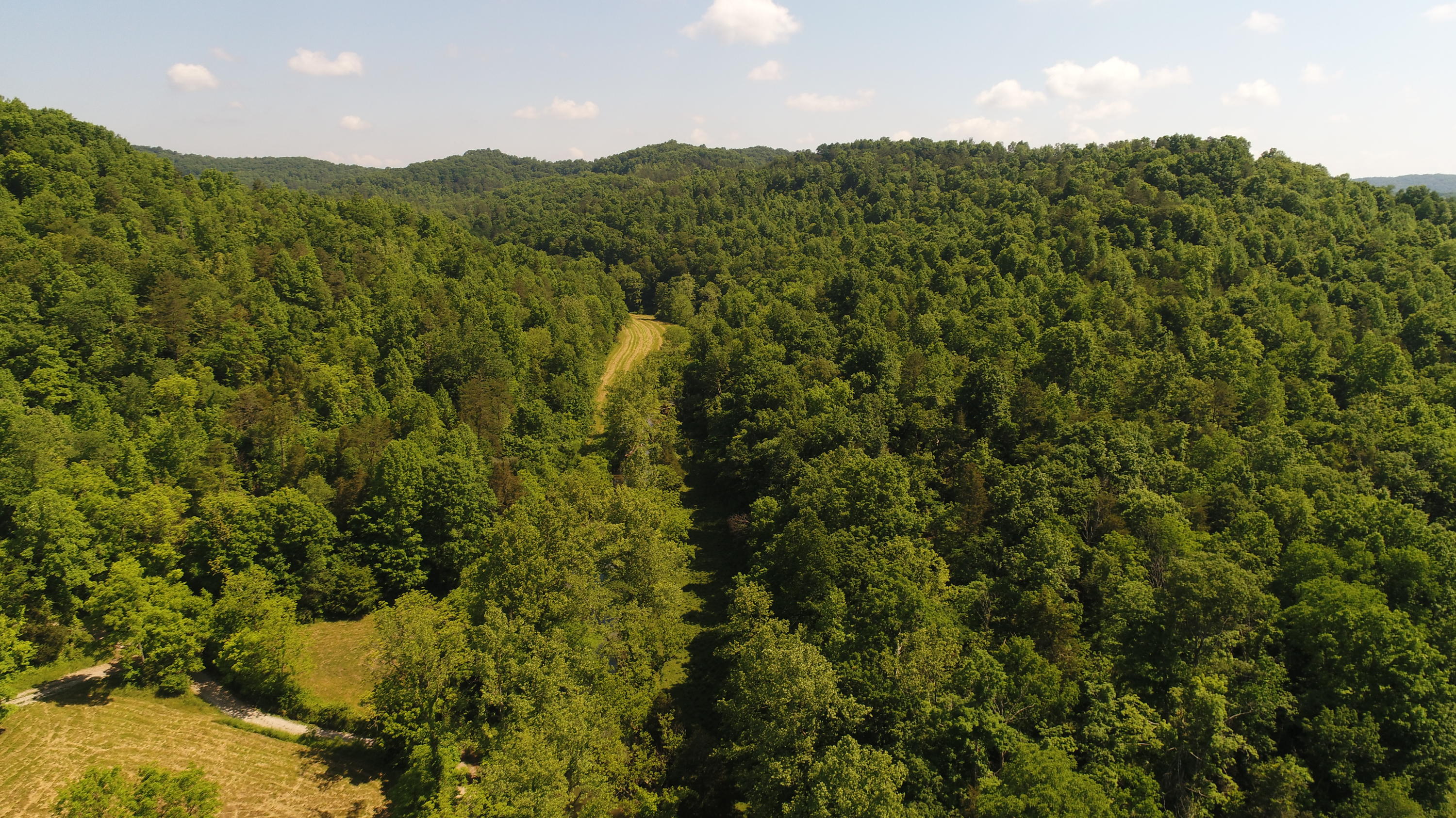 500 Boone Cromer Road Mount Vernon, KY 40456 - Photo 15 of 33 DJI_0556