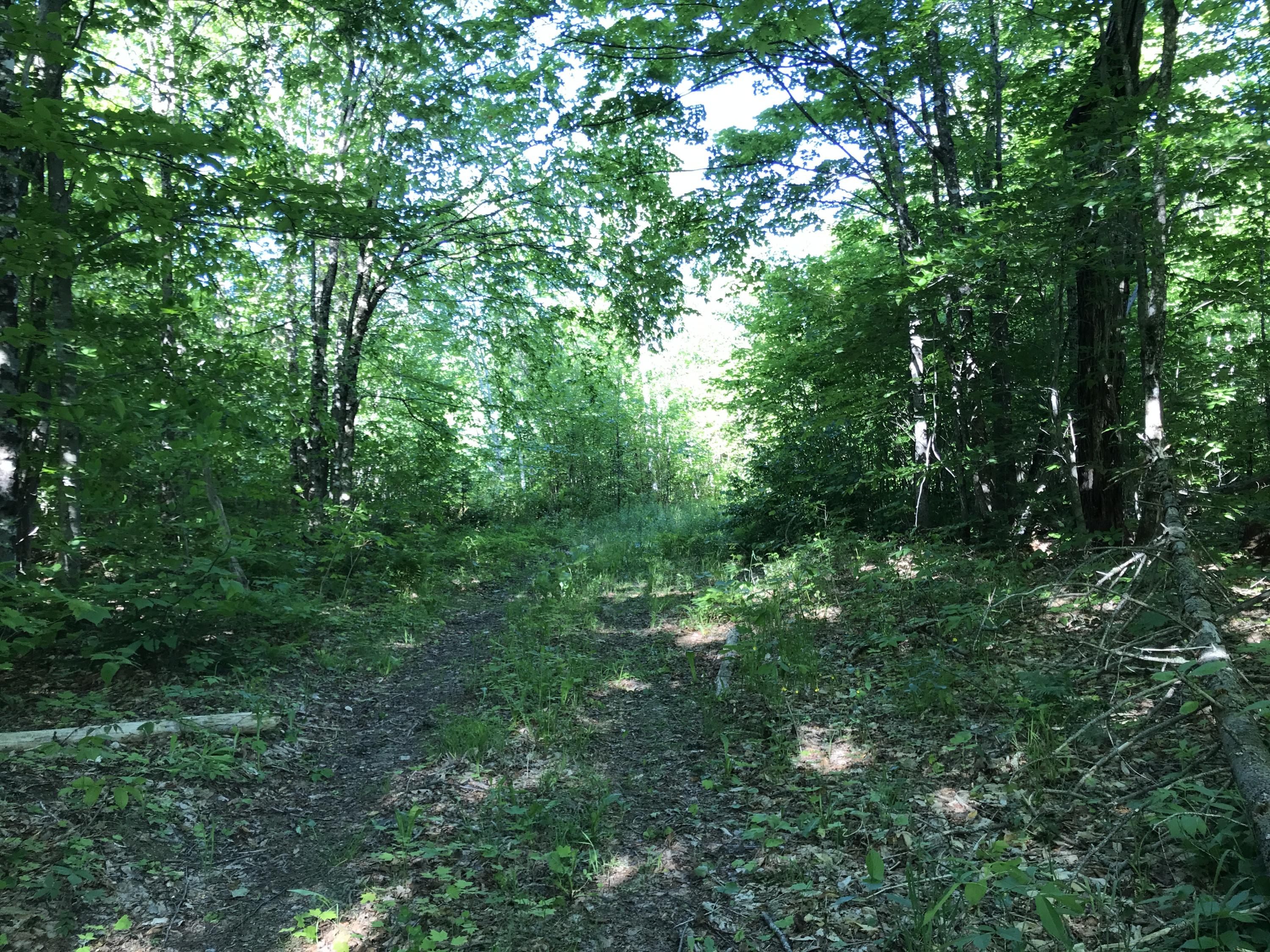 0 Haney Road Caribou, ME 04736 - Photo 5 of 12 Photo Jun 10, 8 19 53 AM