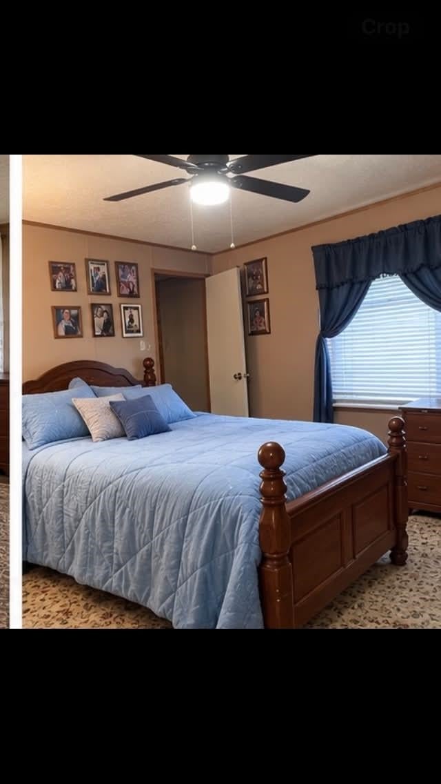 43 Left Fork Road Alkol, WV 25501 - Photo 6 of 12 Gallery Image 6