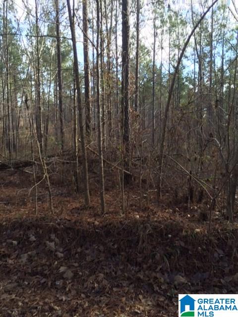Story Road, Unit 201 Woodstock, AL 35188 - Photo 3 of 11