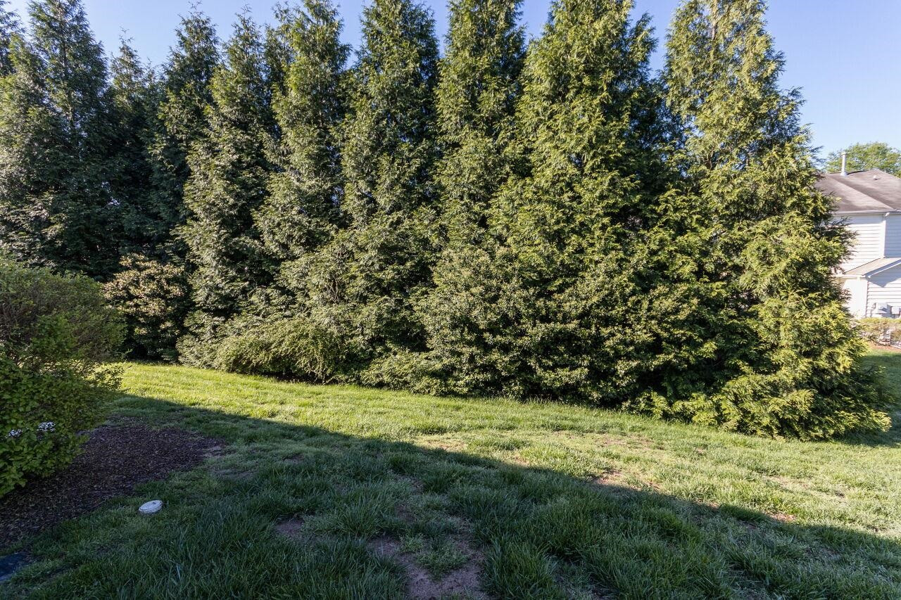 137 Cedar Elm Road Durham, NC 27713 - Photo 25 of 26 Back Yard