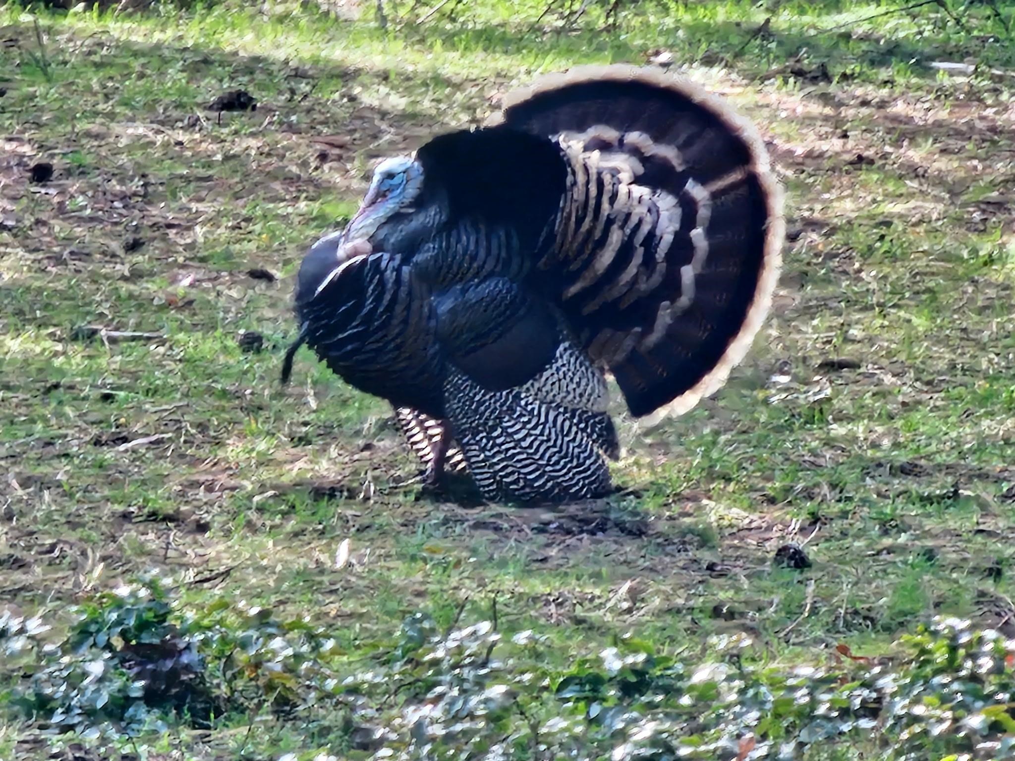 2600 Highline Road Chewelah, WA 99109 - Photo 20 of 27