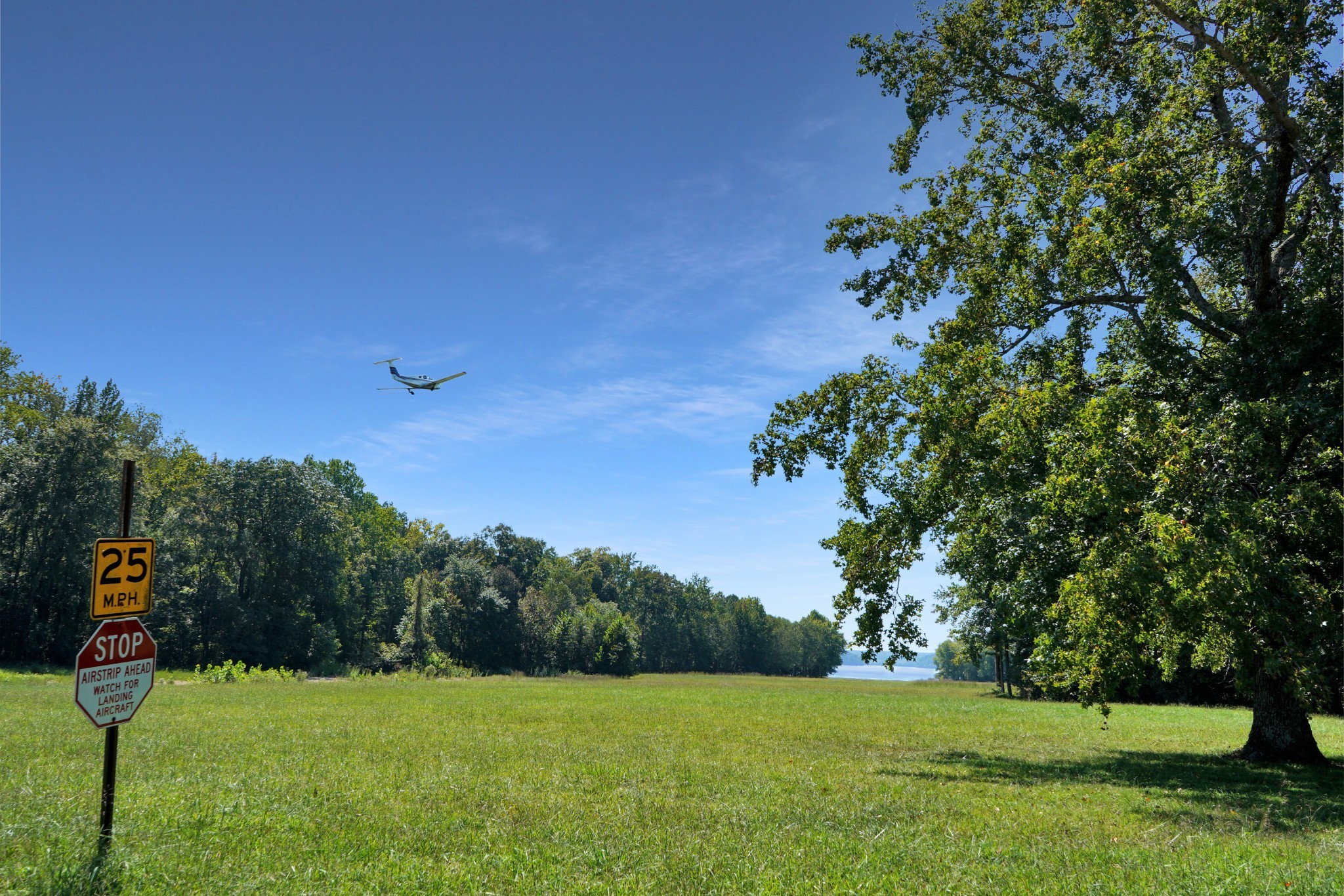 188 Woods Road Dover, TN 37058 - Photo 19 of 31 a view of a grassy field with trees