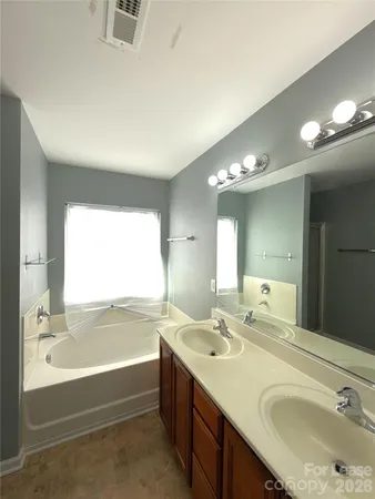 a bathroom with a tub sink double vanity and a mirror
