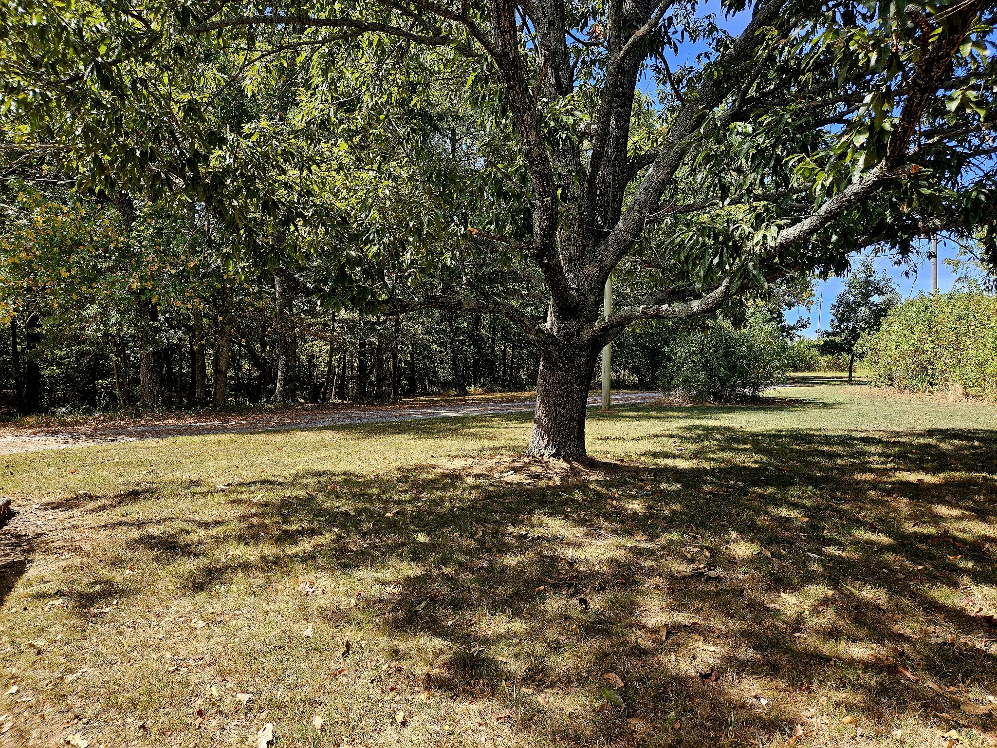 420 Carroll Ridge Road Pulaski, TN 38478 - Photo 25 of 35 Gallery Image 25