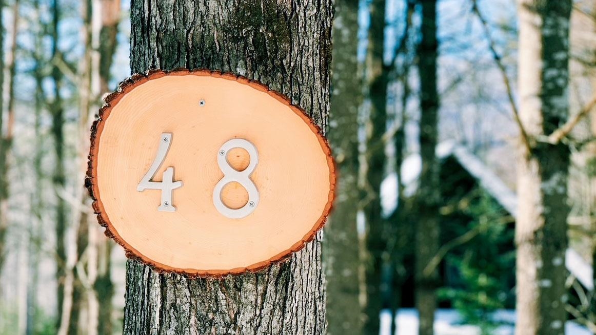 48 Holly Lane Ludlow, VT 05149 - Photo 33 of 41