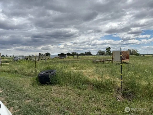 a view of a garden with a lake